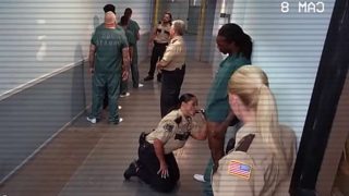 [BangBros] Kailani Kai – Fucks Inmate